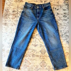 American Eagle Curvy Mom Jean 12 short
